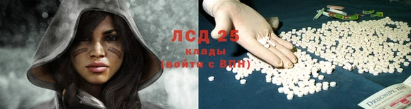 дурь Алзамай