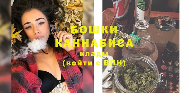 МДПВ Няндома