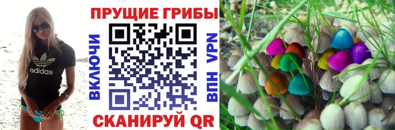Галлюциногенные грибы Psilocybine cubensis Тосно