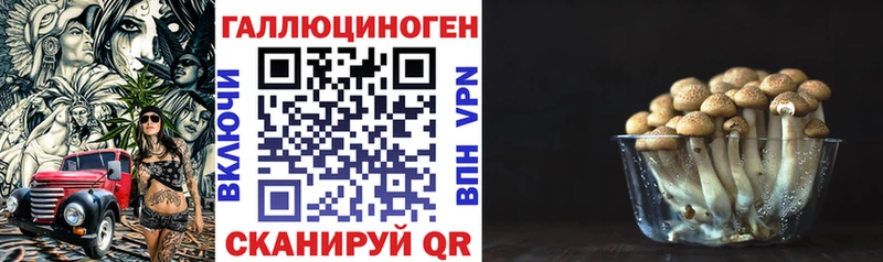 Галлюциногенные грибы мицелий дарнет шоп Тосно